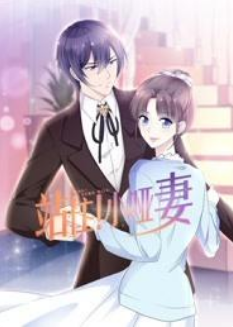 站住！小哑妻免费观看